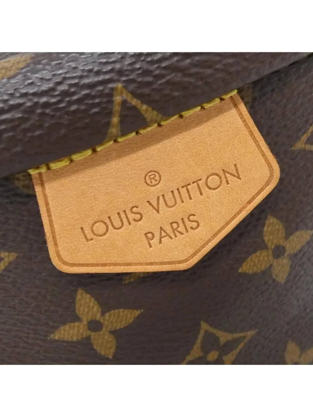 Louis Vuitton Monogram Bum